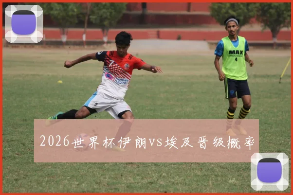 2026世界杯伊朗vs埃及晋级概率