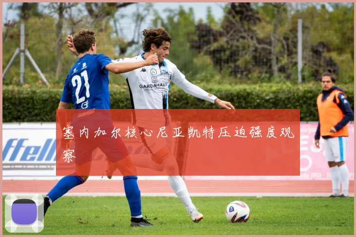塞内加尔核心尼亚凯特压迫强度观察