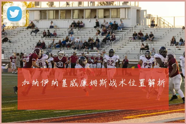 加纳伊纳基威廉姆斯战术位置解析