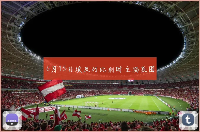 6月15日埃及对比利时主场氛围