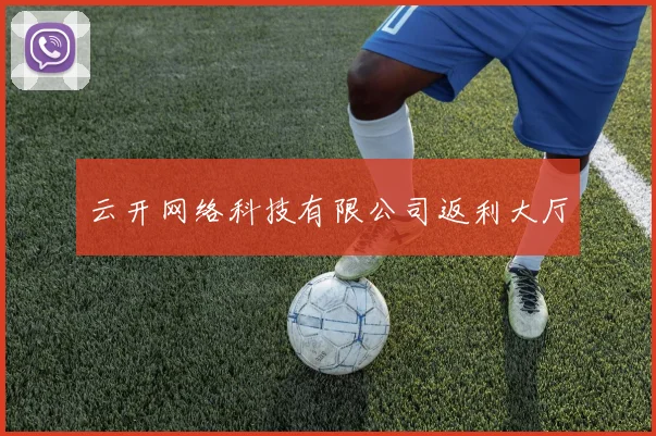云开网络科技有限公司返利大厅
