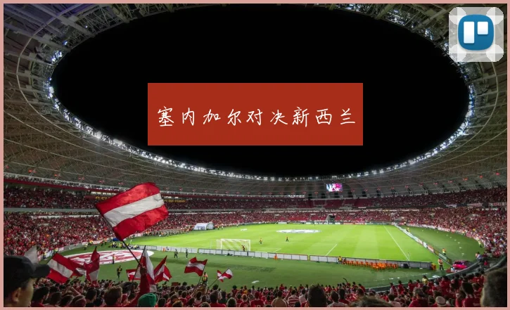 塞内加尔对决新西兰