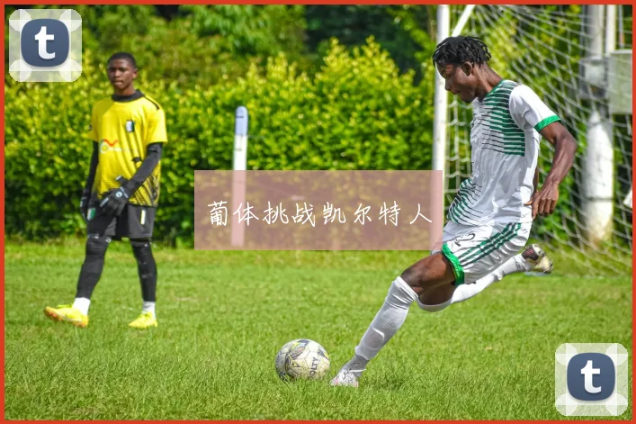 葡体挑战凯尔特人