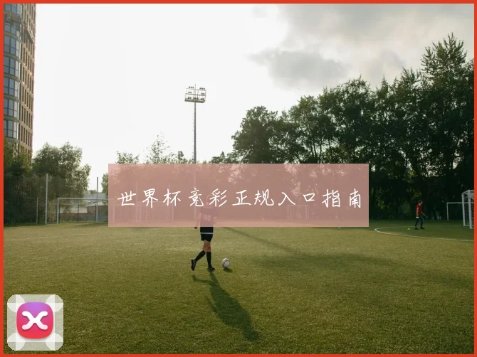 世界杯竞彩正规入口指南