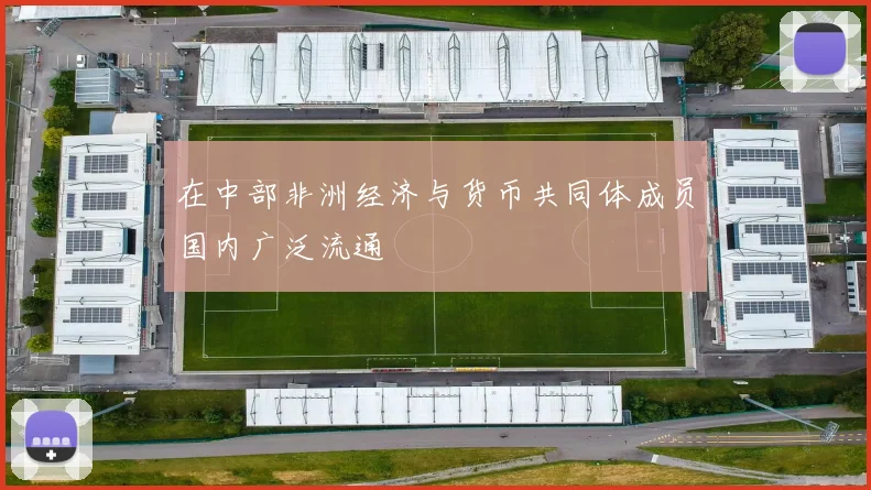 在中部非洲经济与货币共同体成员国内广泛流通