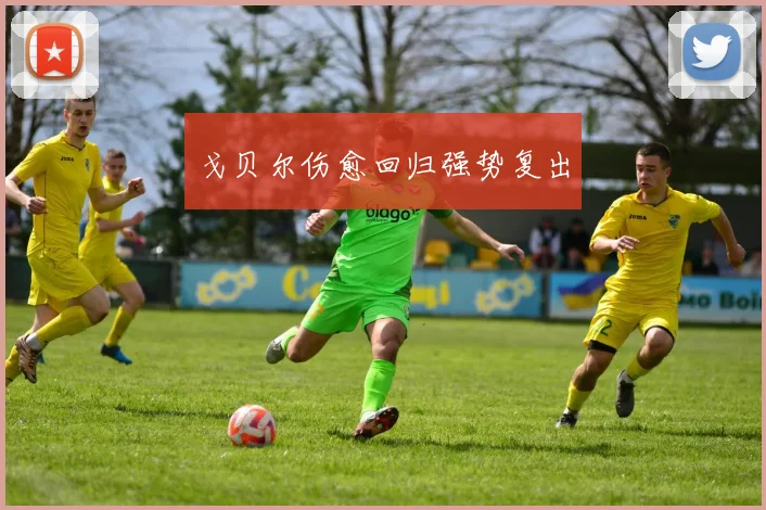 戈贝尔伤愈回归强势复出