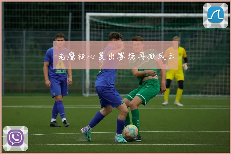 老鹰核心复出赛场再掀风云