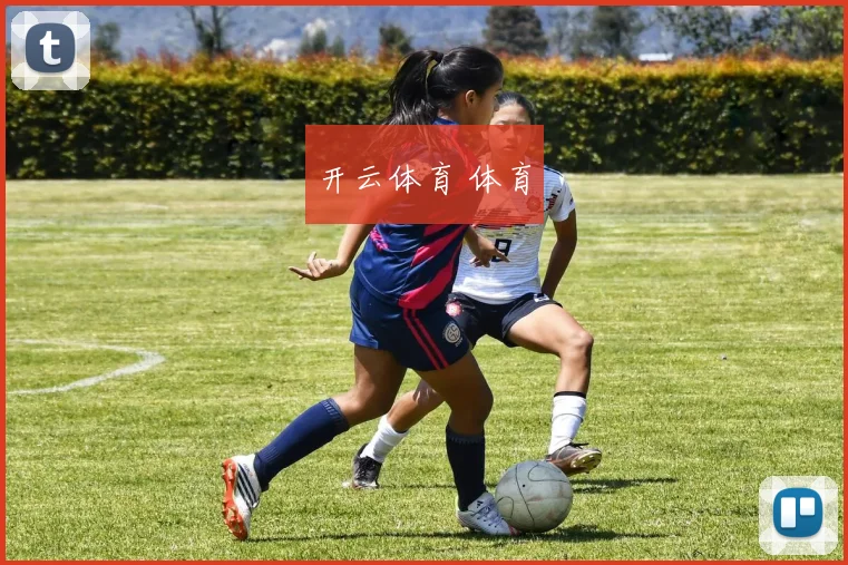 开云体育 体育