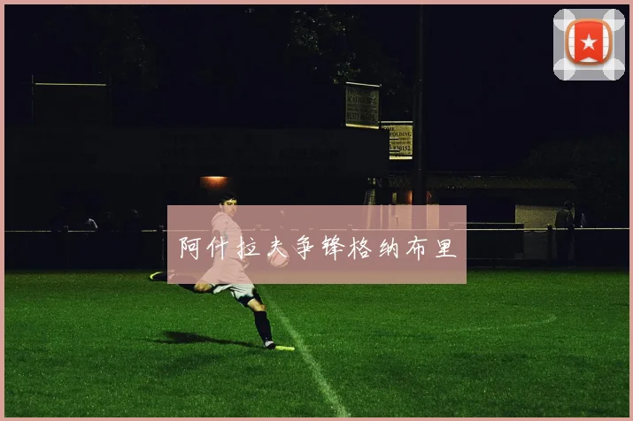 阿什拉夫争锋格纳布里