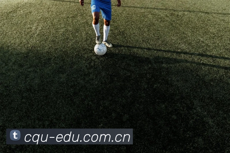 九游(JIUYOU)app安全有保障-九游世界杯（中国）最新版