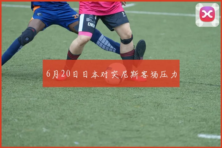 6月20日日本对突尼斯客场压力