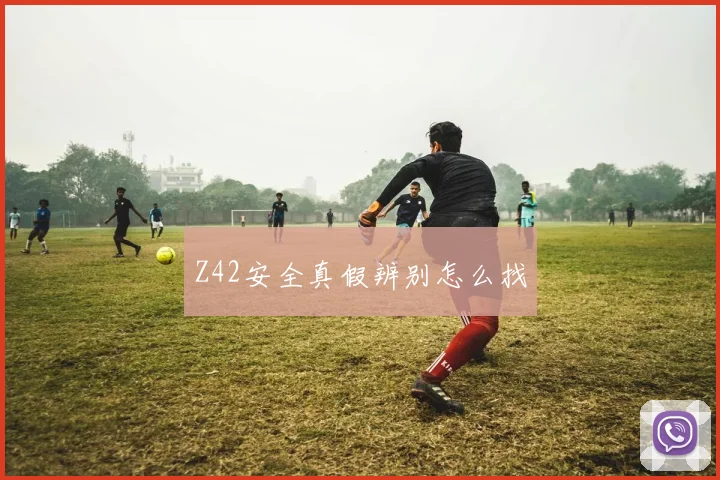 Z42安全真假辨别怎么找