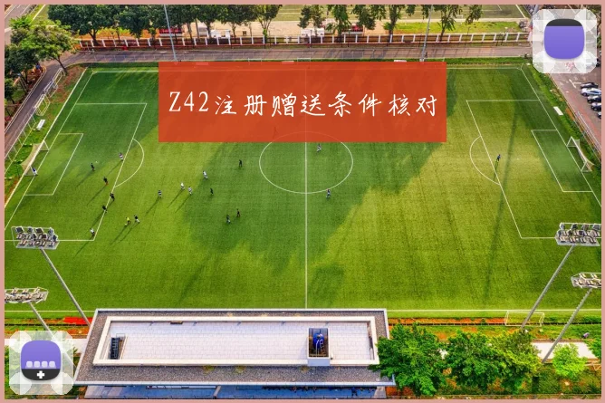 Z42注册赠送条件核对