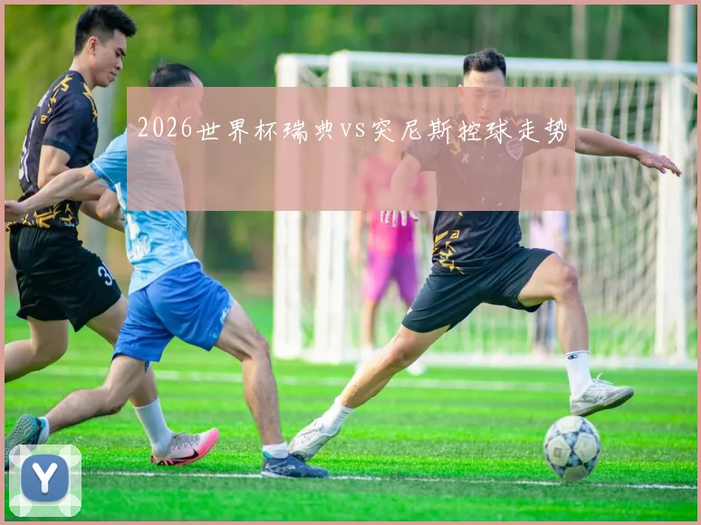 2026世界杯瑞典vs突尼斯控球走势